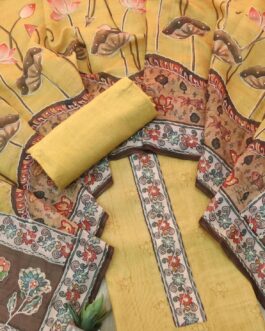 Three Piece Pichwahi dress material