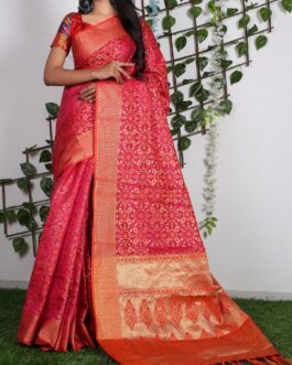 Rani Patola Saree With Zari Weaving Border